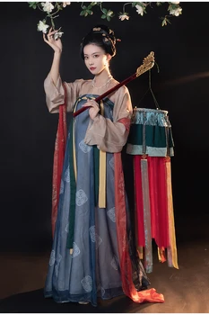 Китайская традиционная оригинальная женская реставрация Hanfu Tang длиной до груди, цельная юбка с разрезом, Шифоновая ткань с принтом Ru